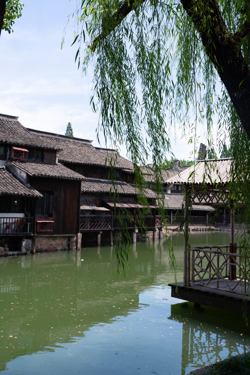 乌镇水乡，柳树下的传统木结构建筑